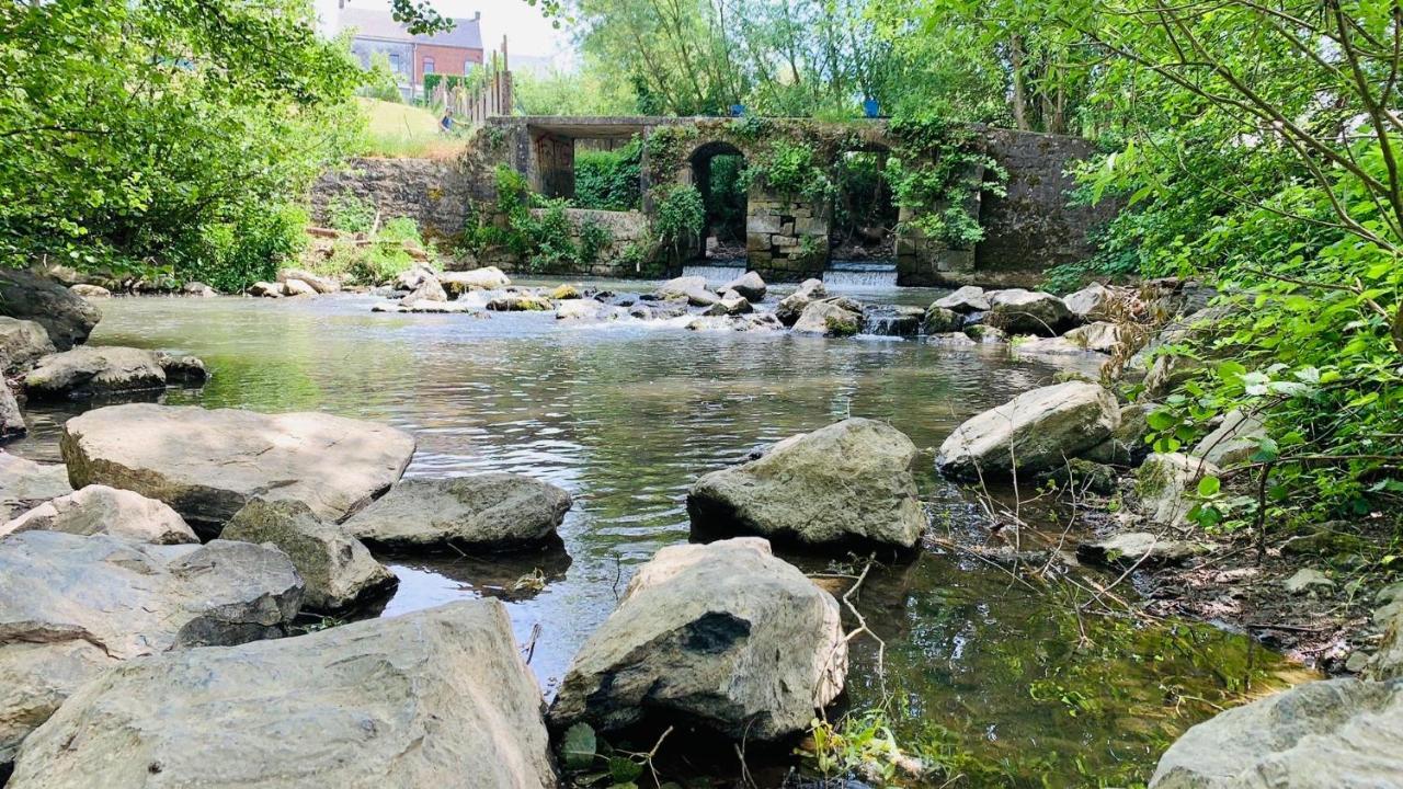 Domaine De Falimont A Labuissiere Apartment Merbes-le-Chateau Bagian luar foto